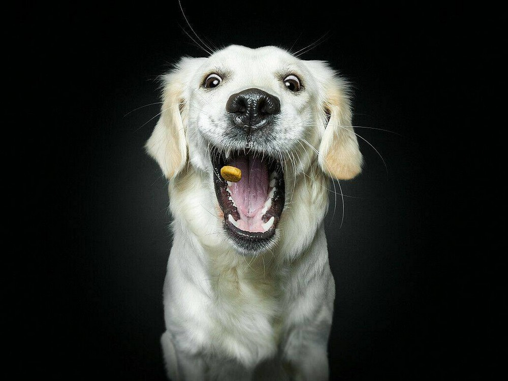 Позитивчик