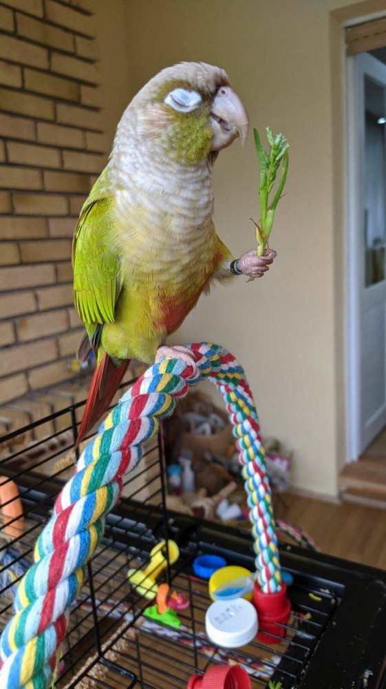 Позитивчик