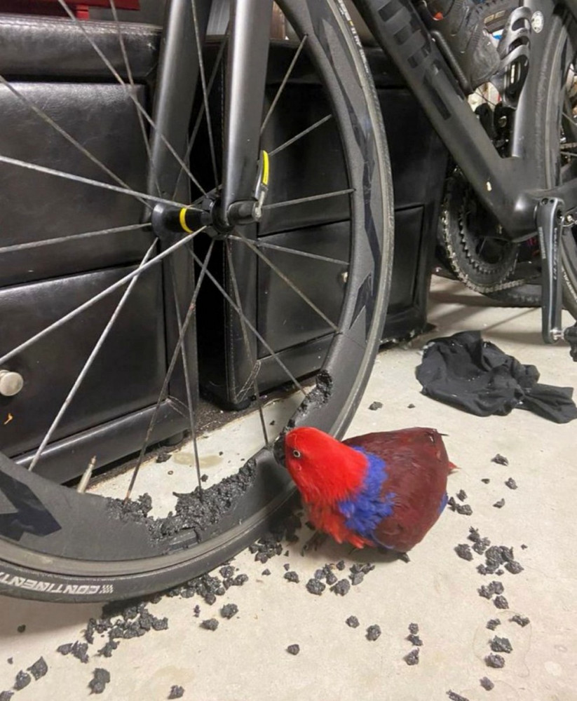 Позитивчик