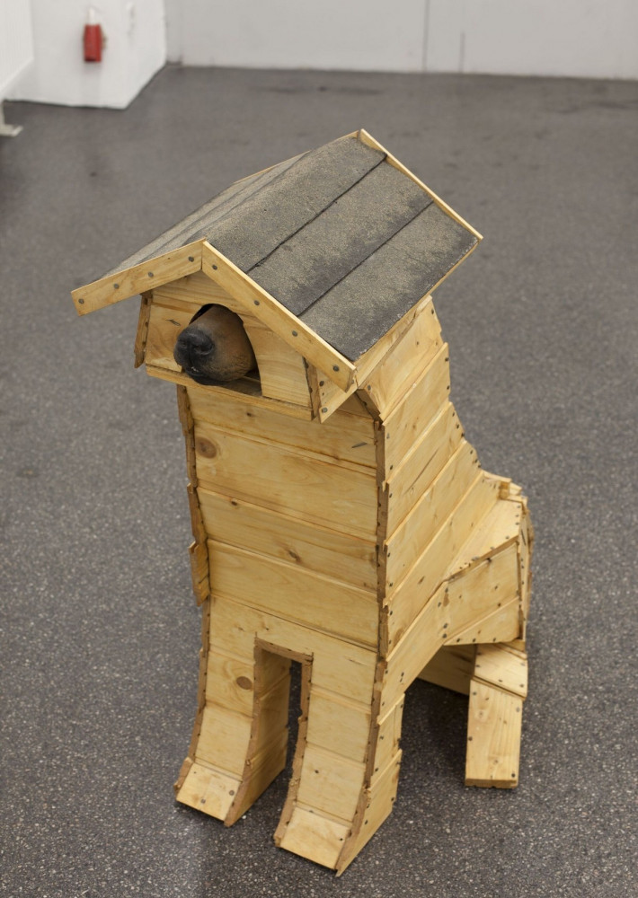 Позитивчик