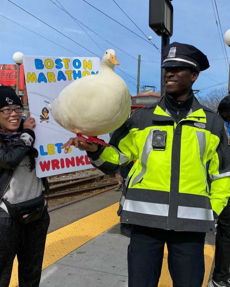 Позитивчик