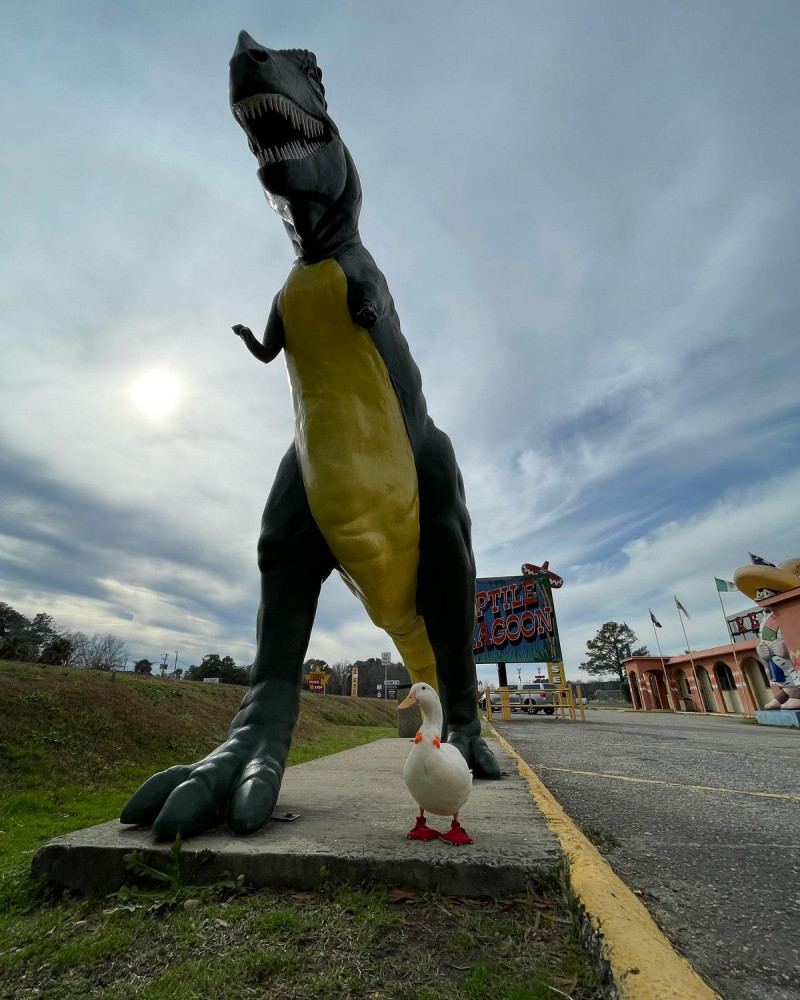 Позитивчик