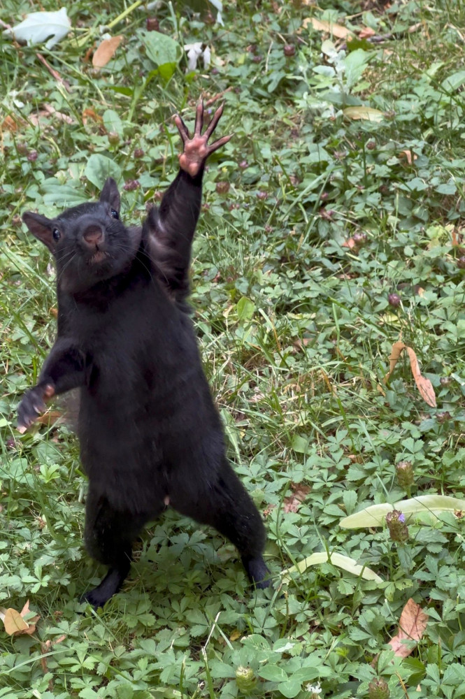 Позитивчик