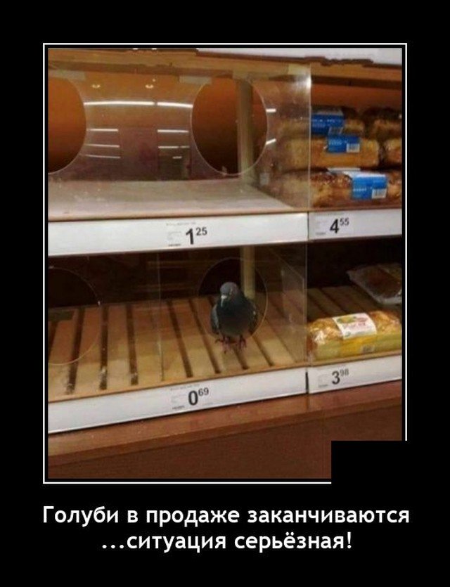 Демотиватор