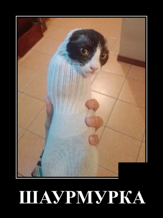 Демотиватор