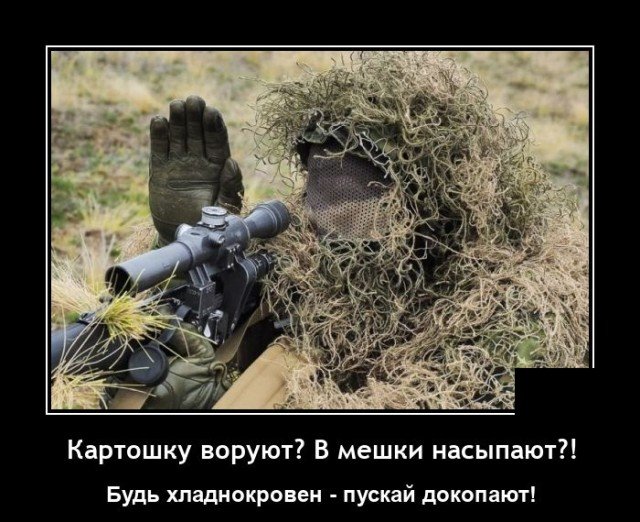 Демотиватор