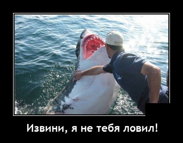 Демотиватор