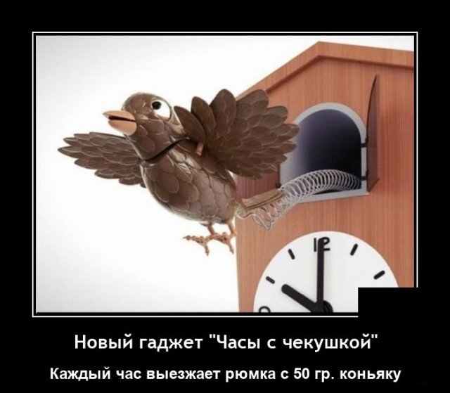 Демотиватор