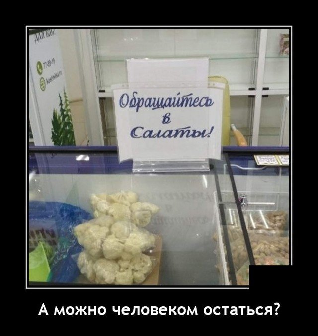 Демотиватор