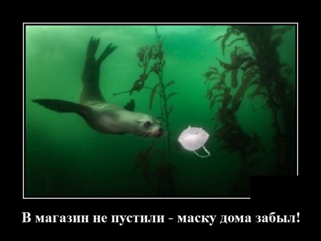 демотиваторы