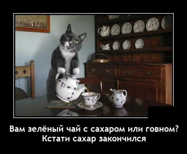 демотиваторы