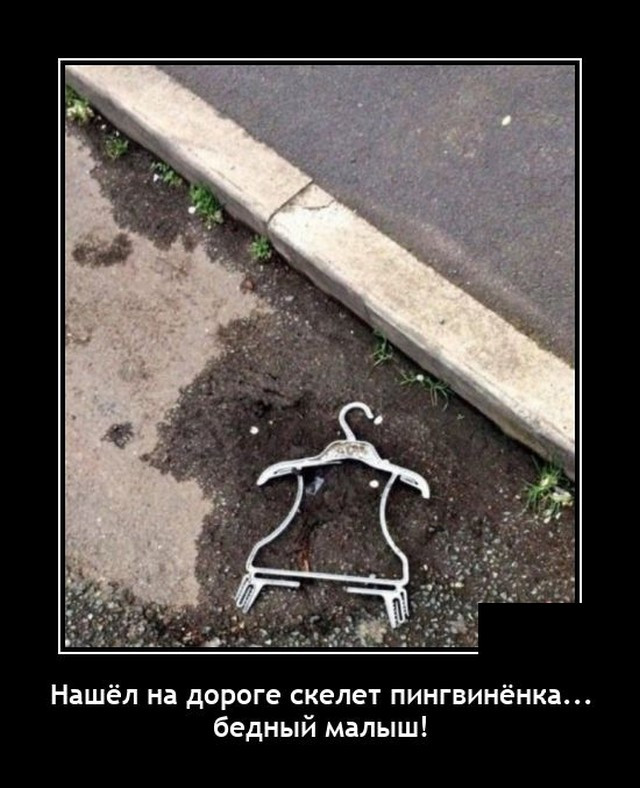 демотиваторы