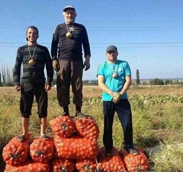 Русские приколы