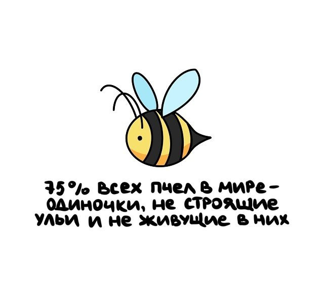 факты в картинках