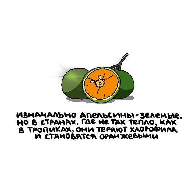 факты в картинках