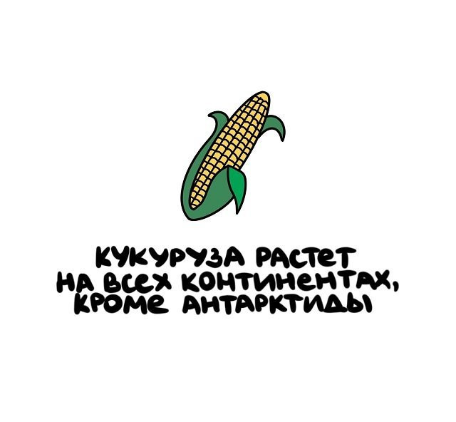 факты в картинках