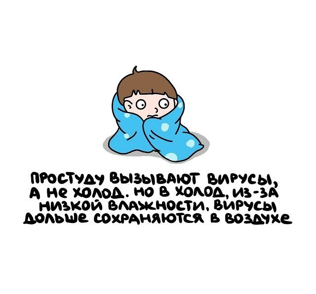 факты в картинках