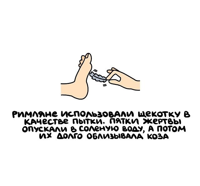 факты в картинках