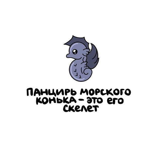 факты в картинках