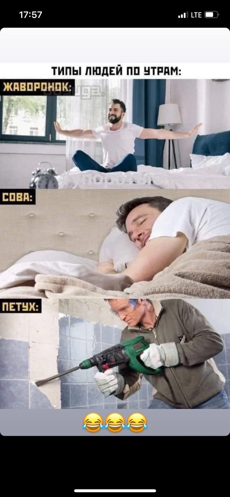 Пошлый юмор для Взрослых