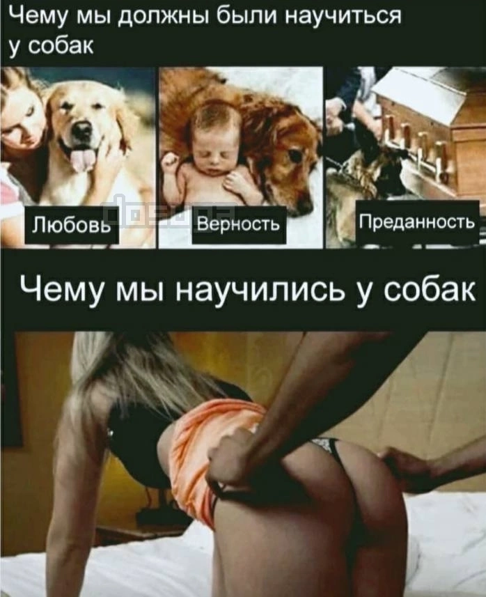 Пошлый юмор для Взрослых