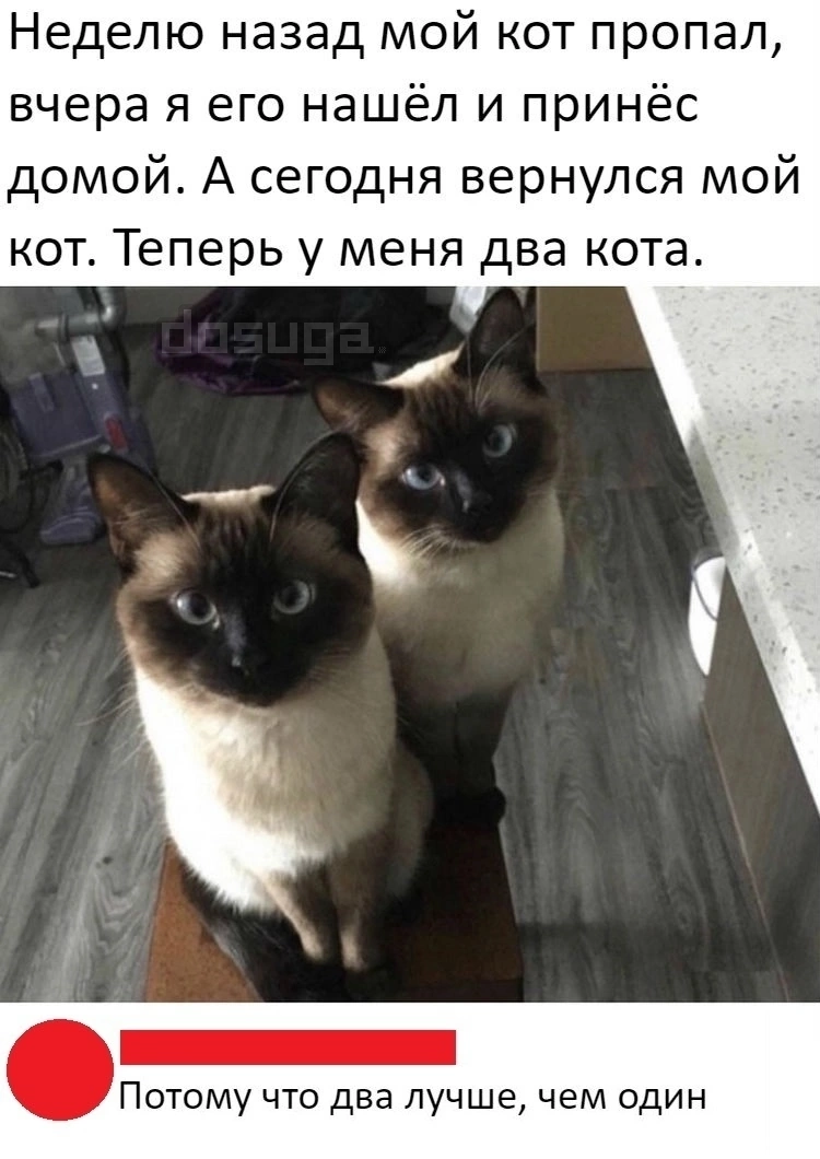 Пошлый юмор для Взрослых