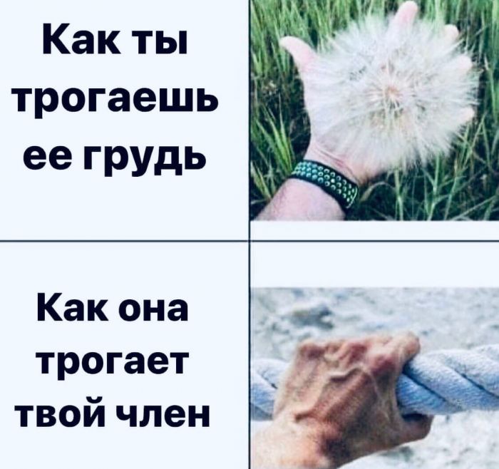 юмор для взрослых