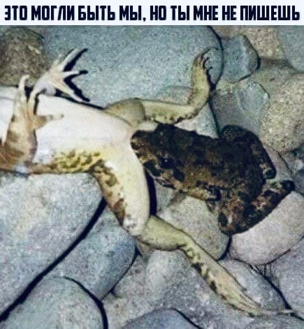 юмор для взрослых