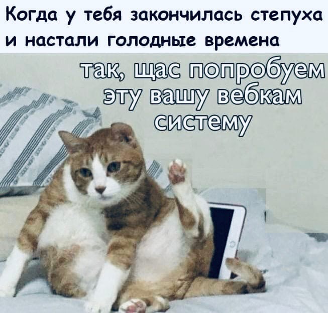 юмор для взрослых