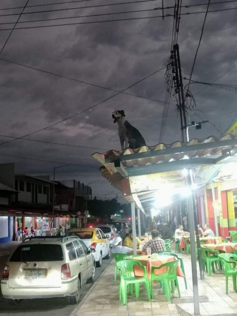 Позитив на Досуге