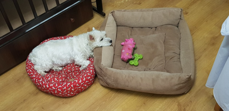 Позитив на Досуге