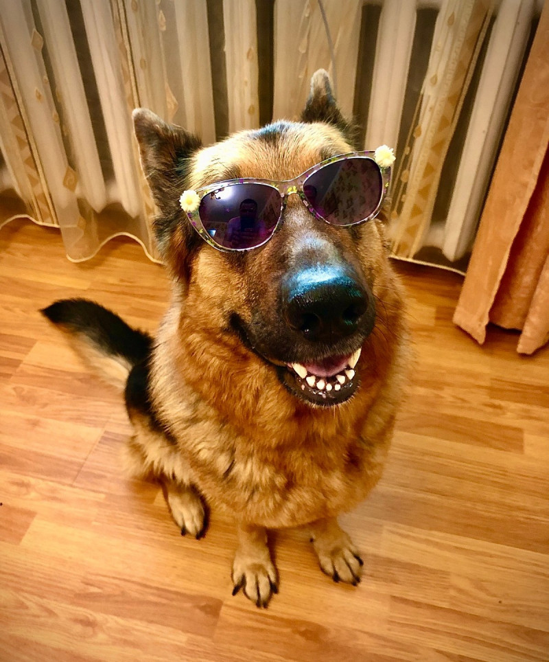 Позитив на Досуге