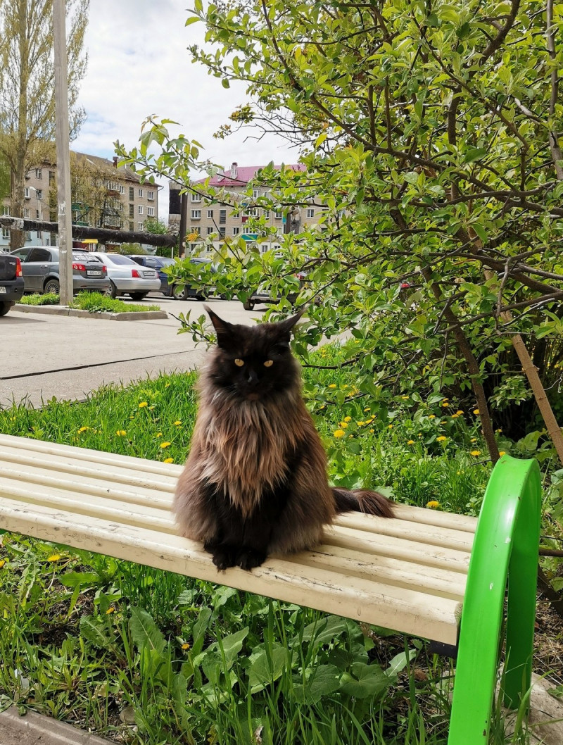 Позитив на Досуге