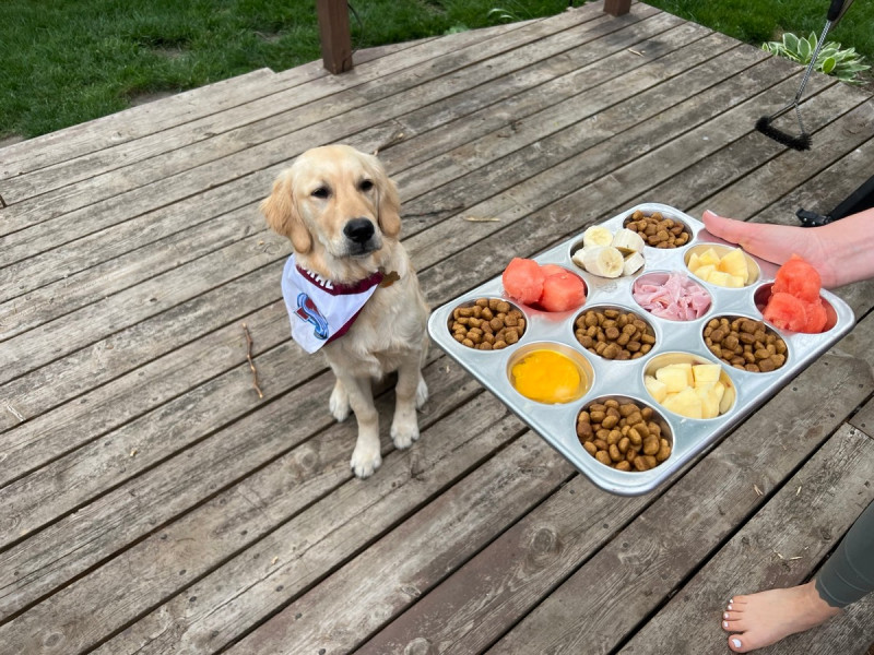 Позитив на Досуге