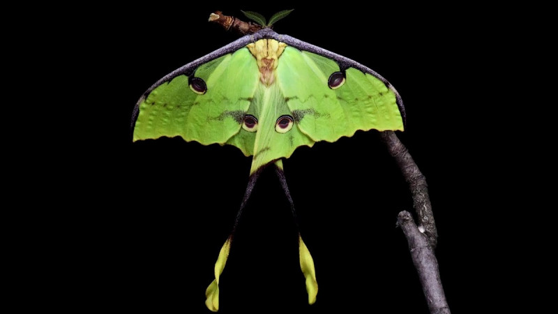 Позитив на Досуге