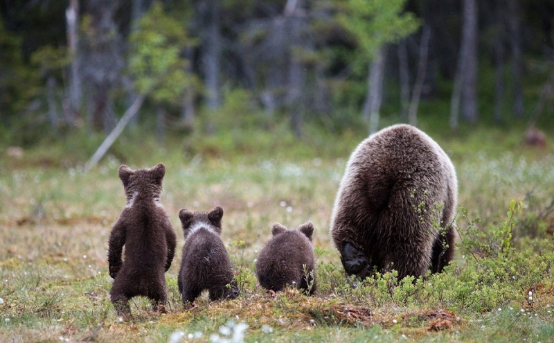 Позитив на Досуге