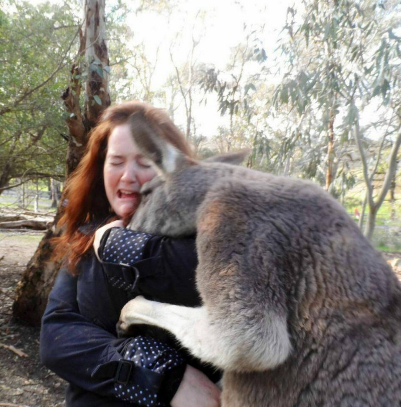 Позитив на Досуге