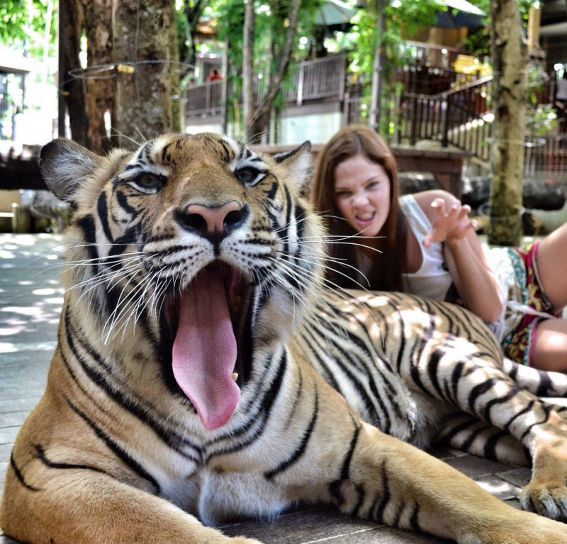 Позитив на Досуге