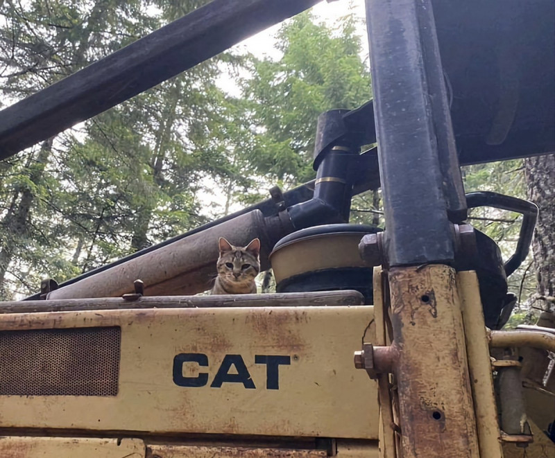 Позитив на Досуге