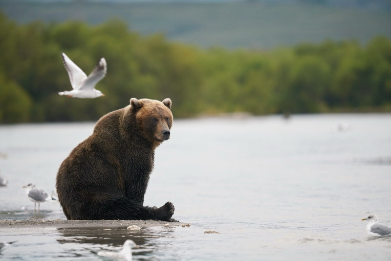 Для хорошего настроения и Позитива