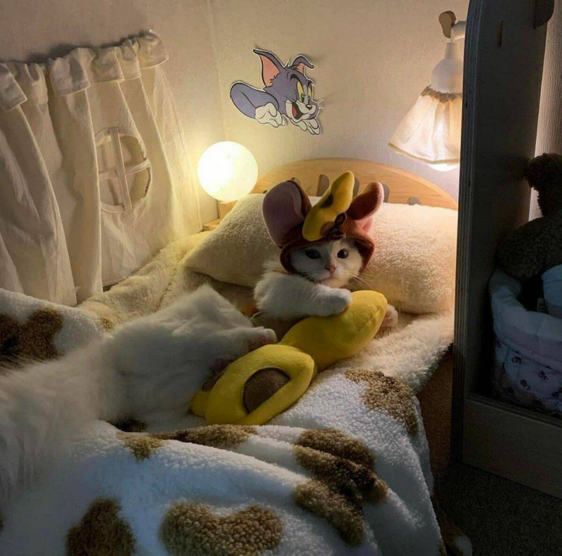 Для хорошего настроения и Позитива