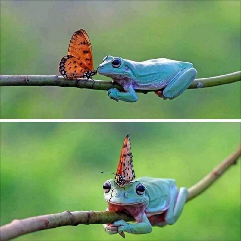 Для хорошего настроения и Позитива