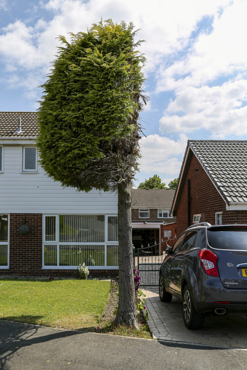 Для хорошего настроения и Позитива