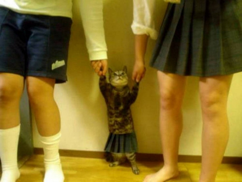 Для хорошего настроения и Позитива