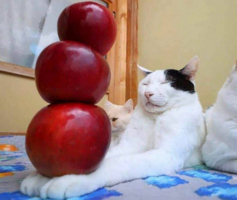 Для хорошего настроения и Позитива