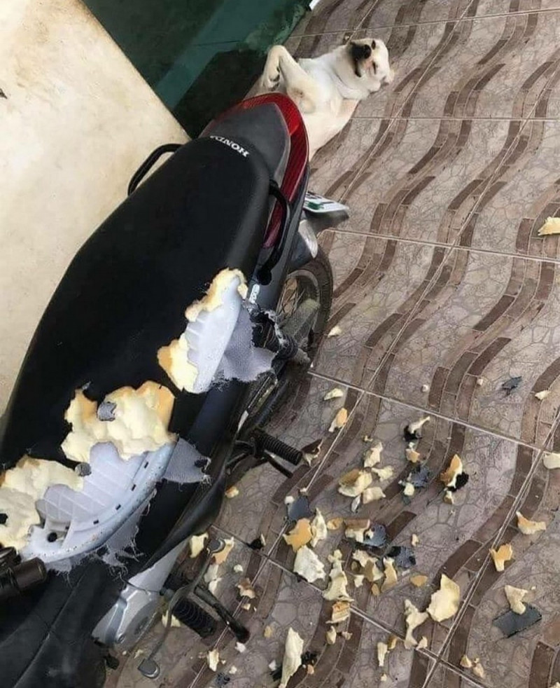 Для хорошего настроения и Позитива