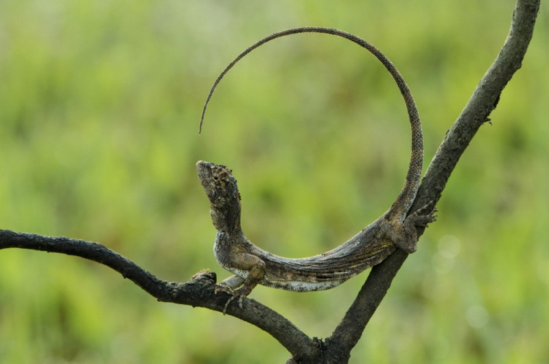 Позитив и Юмор в Одном флаконе