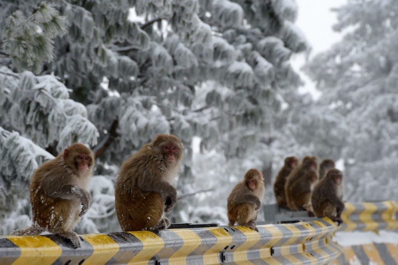 Приколы и позитив