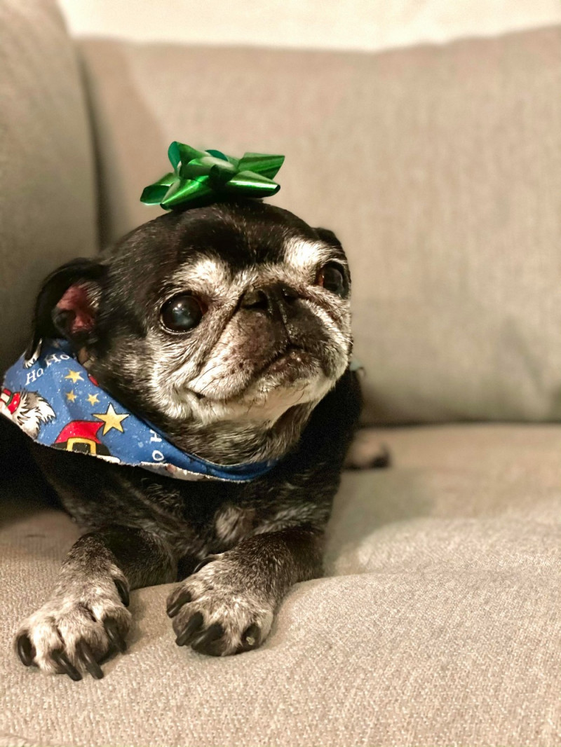 Приколы и позитив