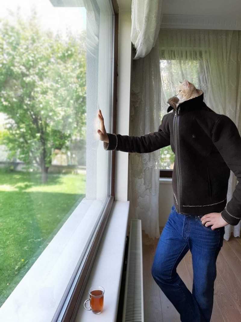 Приколы и позитив